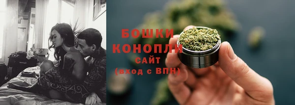 тгк Лагань