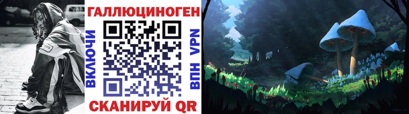 дарнет шоп  Оха  Псилоцибиновые грибы мицелий 