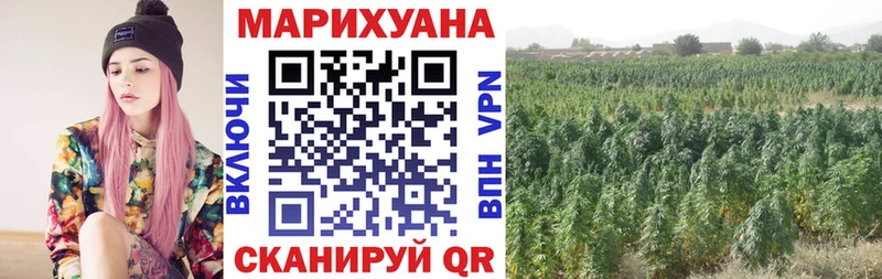 Канабис VHQ  Оха 